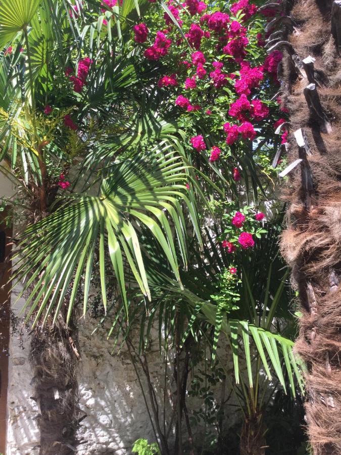 Palmera Mostar Bagian luar foto